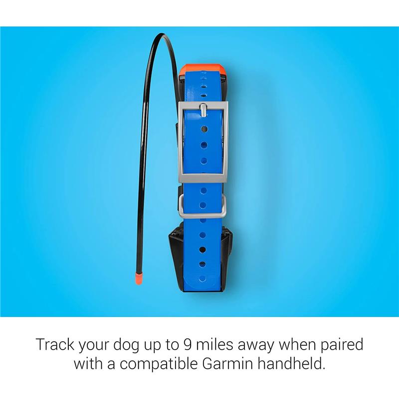 GARM 010-01486-10
