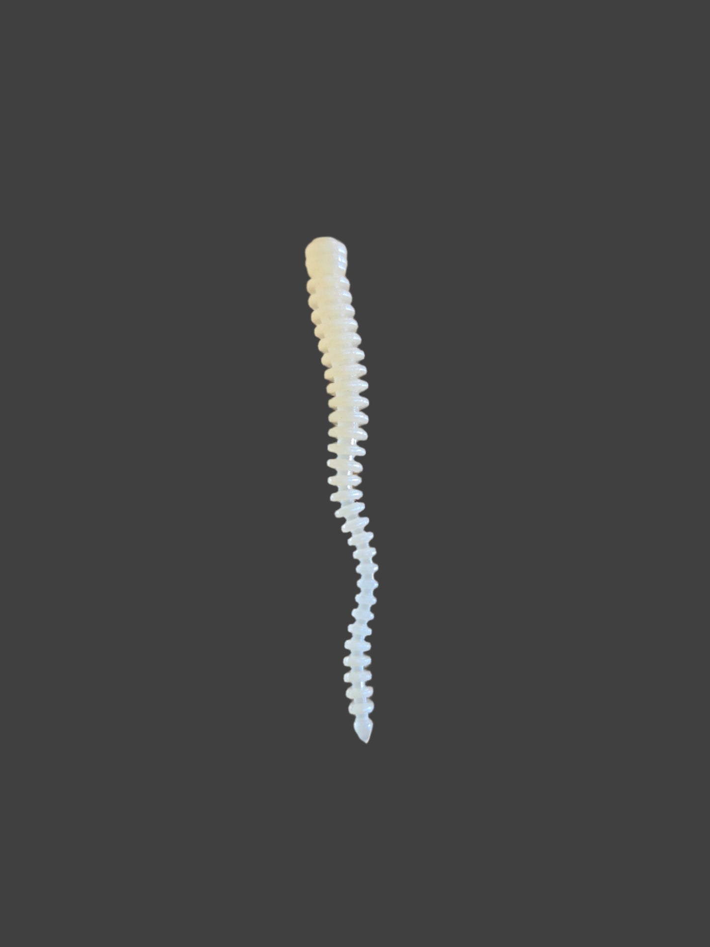 WORMS CHART