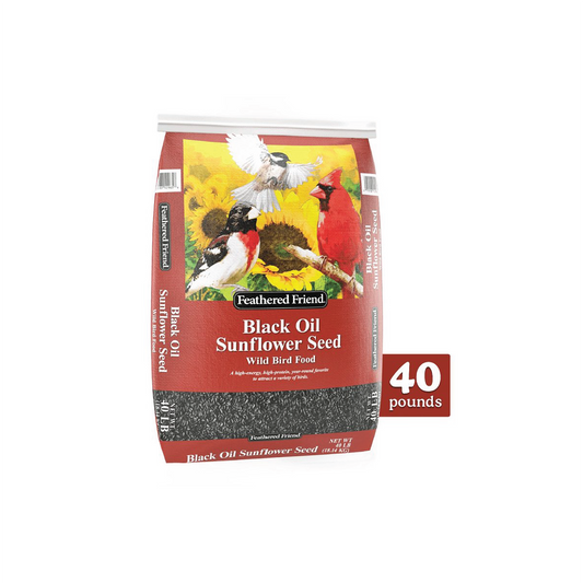 BLACK OIL SUNFLOWER SEED WILD BIRD FOOD 40LB