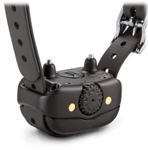 d3746e99-d297-4824-1e62-08de27b3ec63