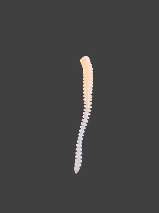 WORMS/ORANGE